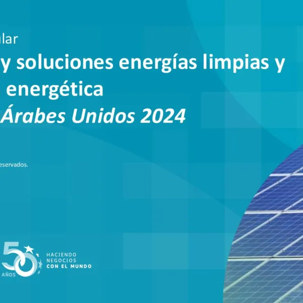 Estrategia Energética de los Emiratos Árabes Unidos: ¿Qué la Hace Clave?