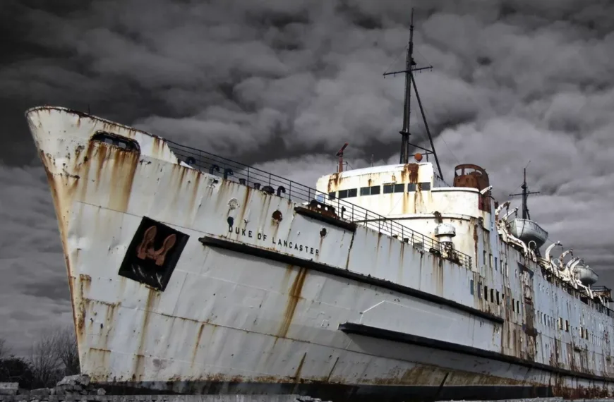 Operación de búsqueda y rescate: ¿Qué sucedió con los veleros desaparecidos?