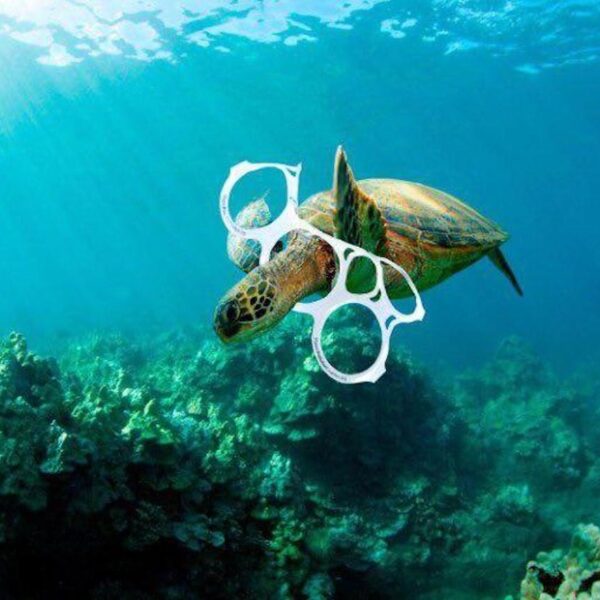 Economía azul: la lucha por los ecosistemas en tiempos de guerra