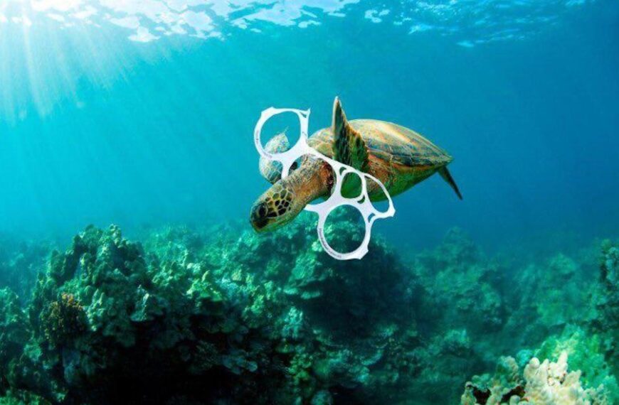 Economía azul: la lucha por los ecosistemas en tiempos de guerra