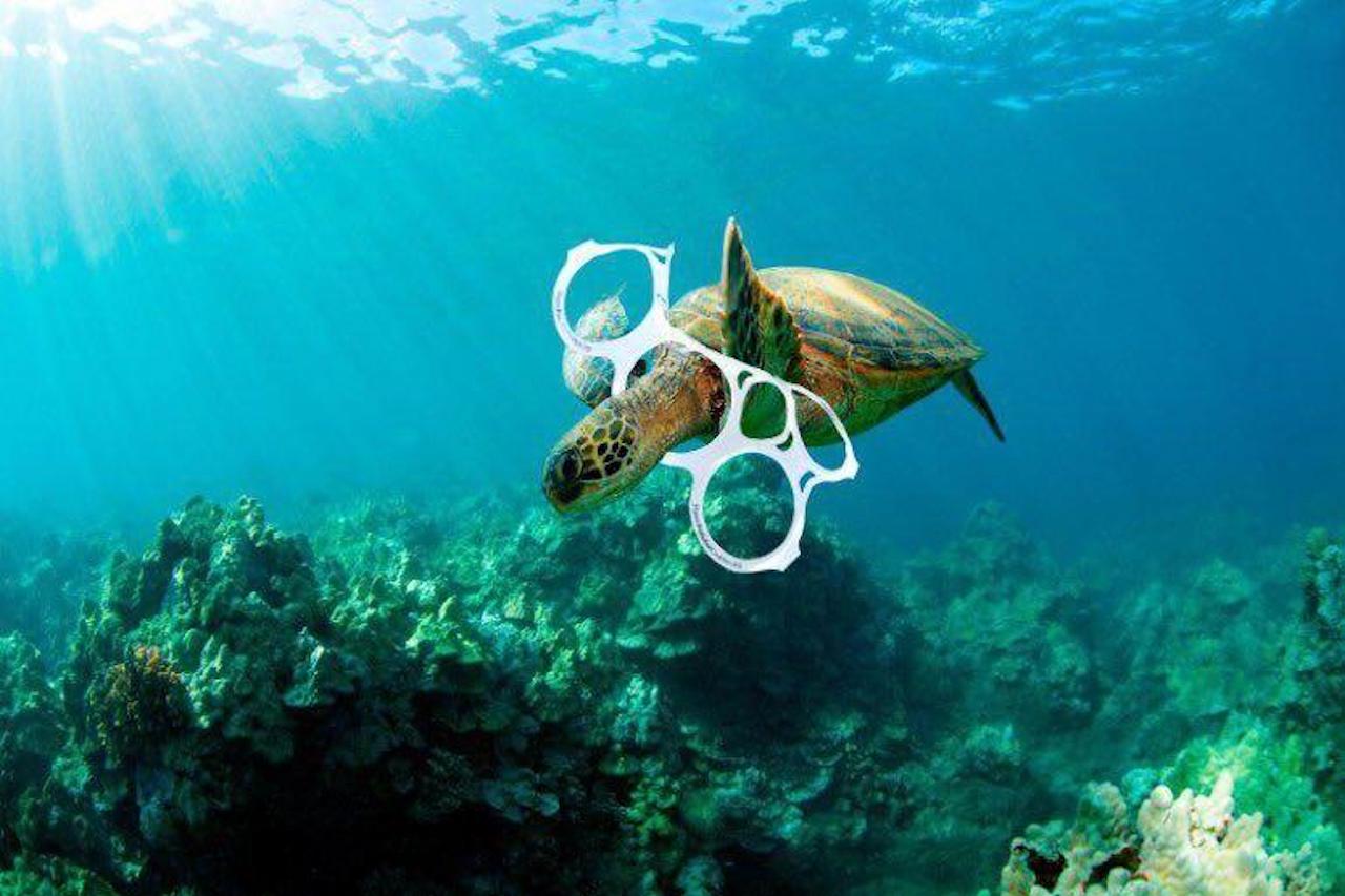 Economía azul: la lucha por los ecosistemas en tiempos de guerra