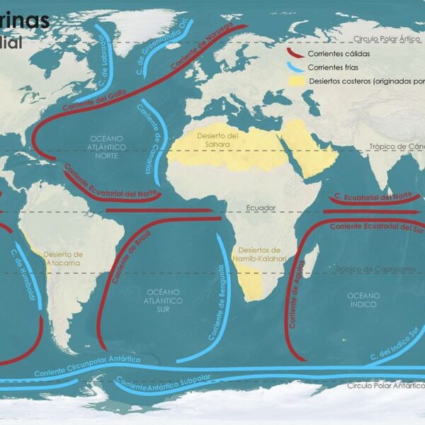 Chincha Rescates: ¡Increíbles Historias de Valor en Las Totoritas!