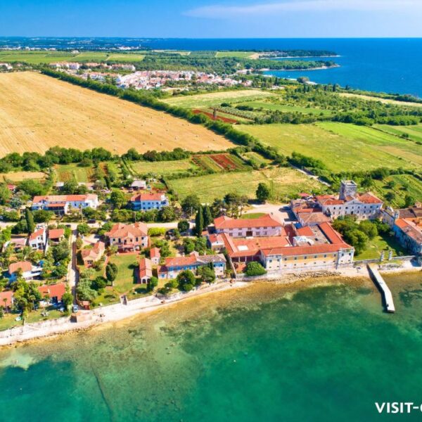 Dajla: Un Hub Vibrante de Desarrollo y Diplomacia en África