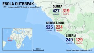 Brote de Ébola: Lo que la OMS Revela Sobre la Emergencia