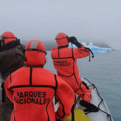 Puma Tingo María: La Sorprendente Rescate de un Animal Silvestre