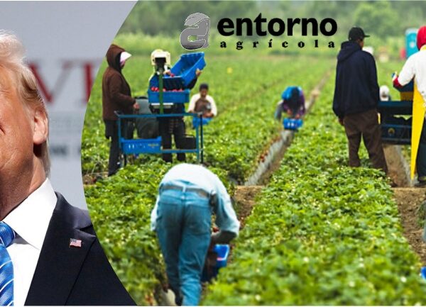 Trump y la compra de tierras agrícolas por parte de China: ¿Qué está pasando?