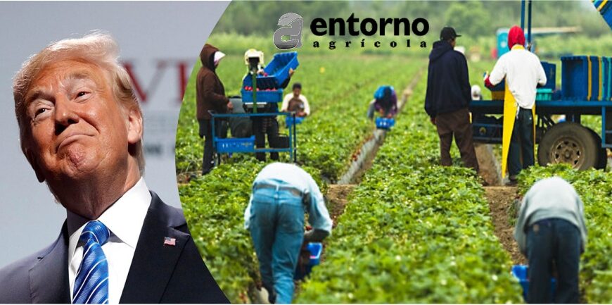 Trump y la compra de tierras agrícolas por parte de China: ¿Qué está pasando?