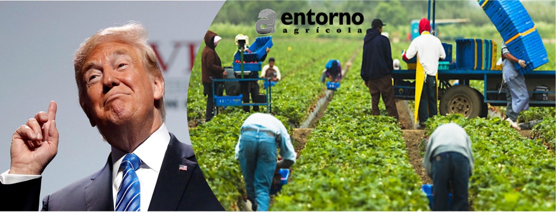 Trump y la compra de tierras agrícolas por parte de China: ¿Qué está pasando?