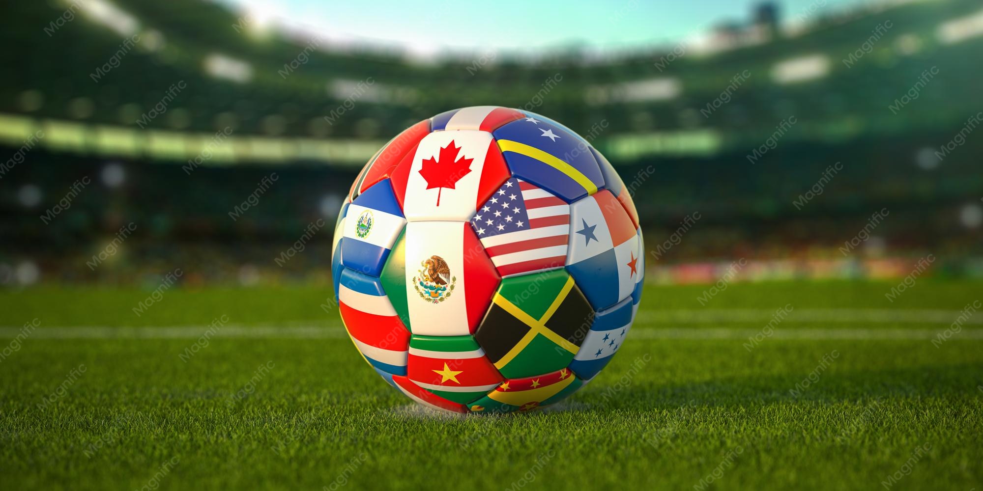 Copa del Mundo coanfitrionada: ¿Cómo enfrentarán sus retos?