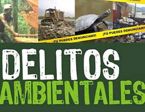 Minería Ilegal Puno: Operativo Inutiliza Maquinaria por S/2 Millones