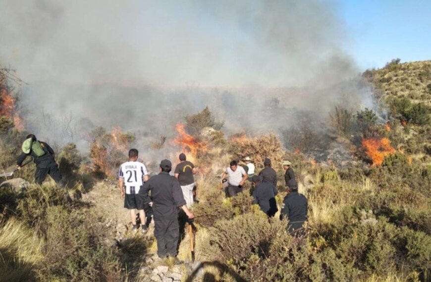 Incendio Forestal en Totorani: Tragedia que Cobró Vidas y Ganado