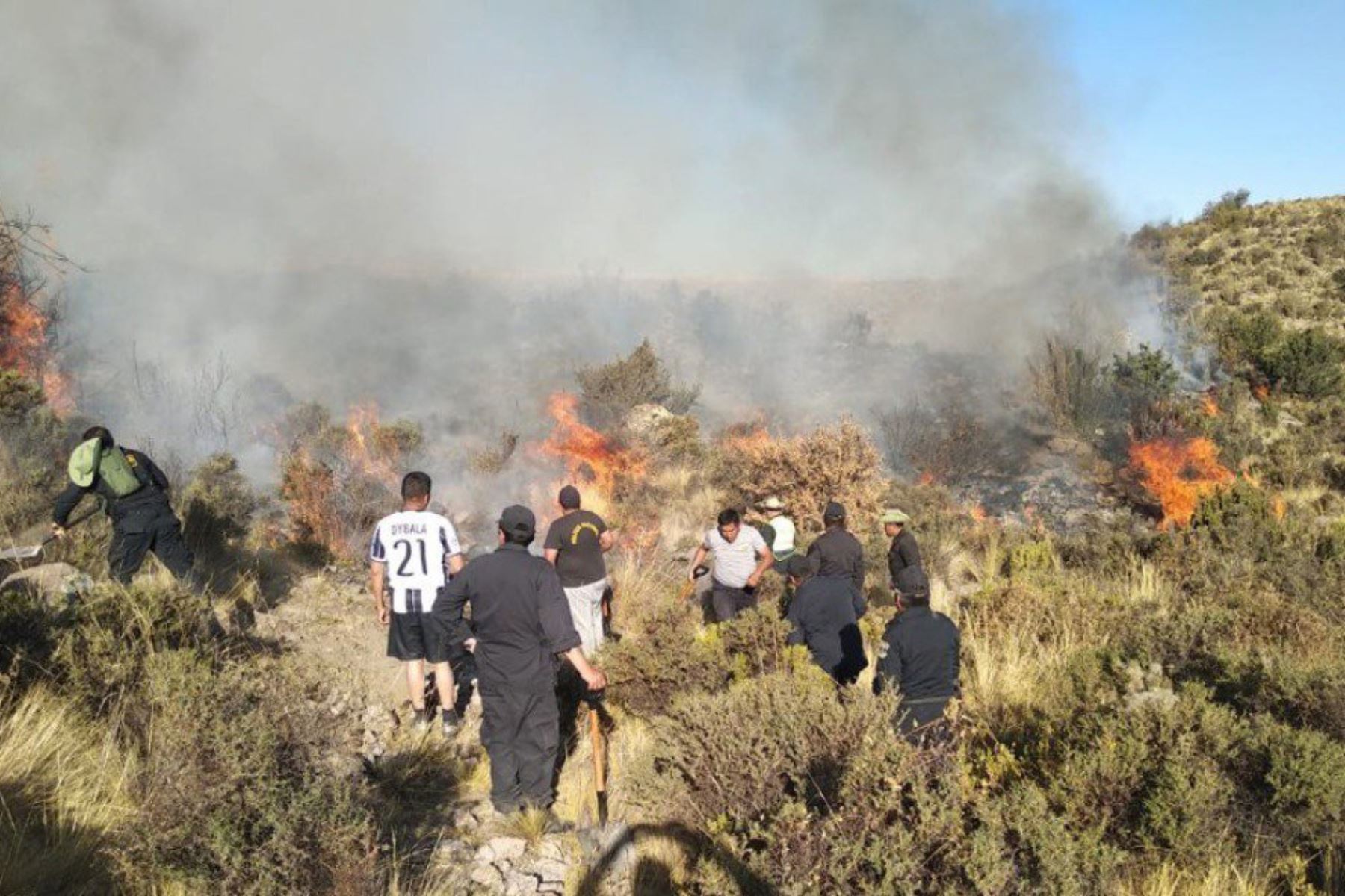 Incendio Forestal en Totorani: Tragedia que Cobró Vidas y Ganado