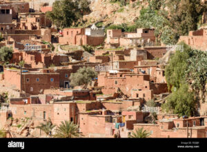 Salud Pública en Marruecos: Revolución en la Agricultura Rural
