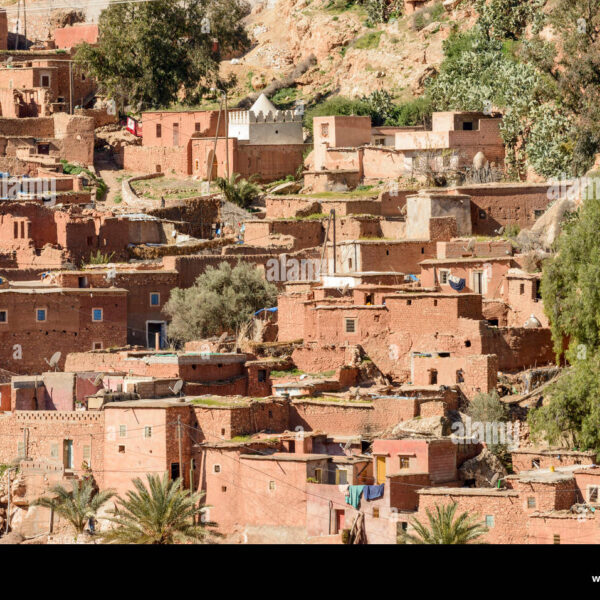Salud Pública en Marruecos: Revolución en la Agricultura Rural