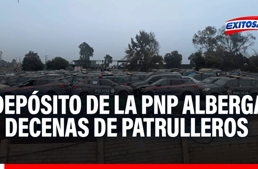 Cementerio de vehículos calcinados: Propietarios desamparados tras incendio