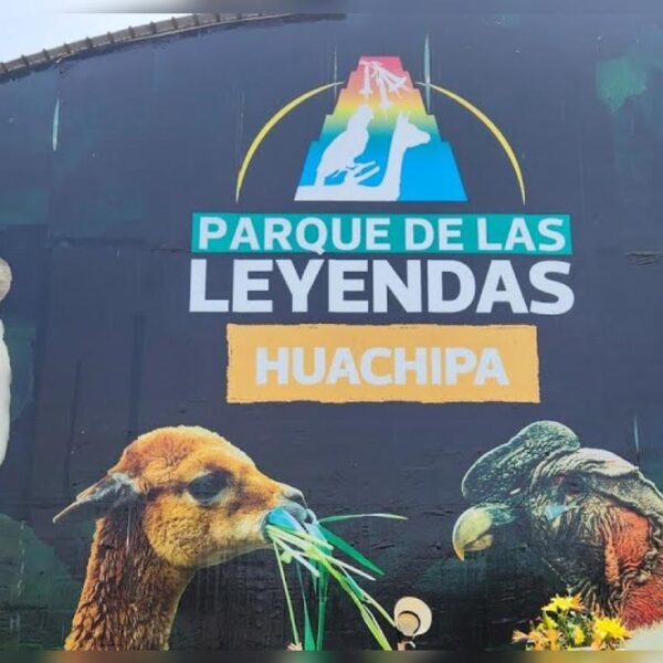 Nuevo Puente La Capitana: Todo lo que Necesitas Saber sobre el Desvío