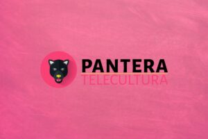 Retiro de lobos marinos muertos: Impacto en las playas de Camaná