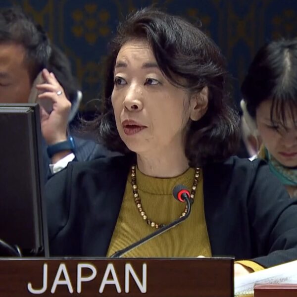 Japón en la ONU: 70 años de diplomacia y retos globales