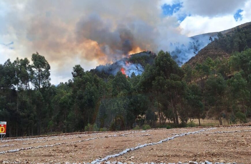 Incendios Forestales en Junín: La Devastación que Ignoramos